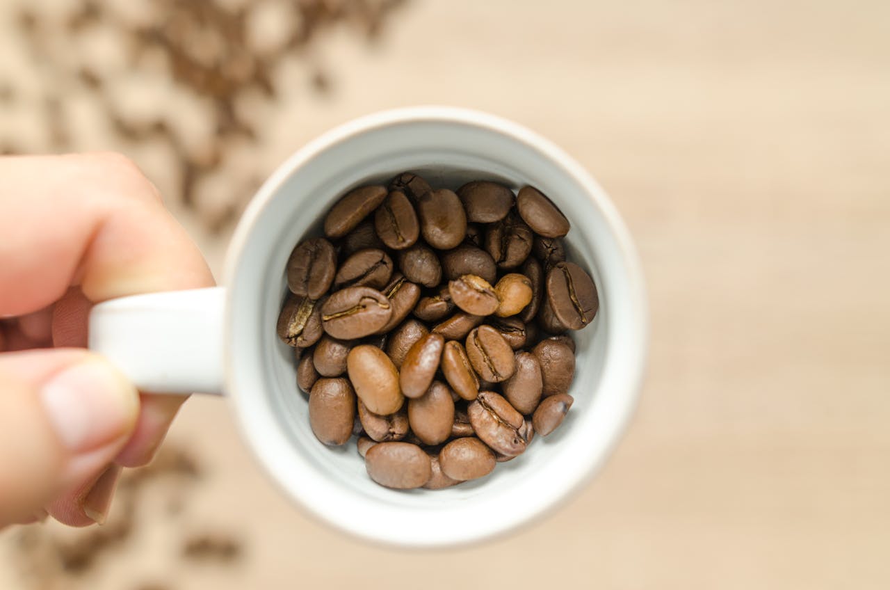 Hand holding a white cup filled with aromatic roasted coffee beans. Perfect for coffee lovers.